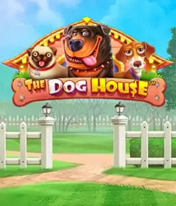 Pragmatic Play's The Dog House adventure, featuring an adorable adventure among charming canines. Enjoy features such as multipliers, designed for delivering exciting wins. Ideal for pet lovers an amusing setting and the opportunity to win big.